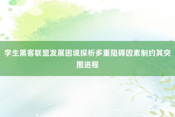 学生黑客联盟发展困境探析多重阻碍因素制约其突围进程